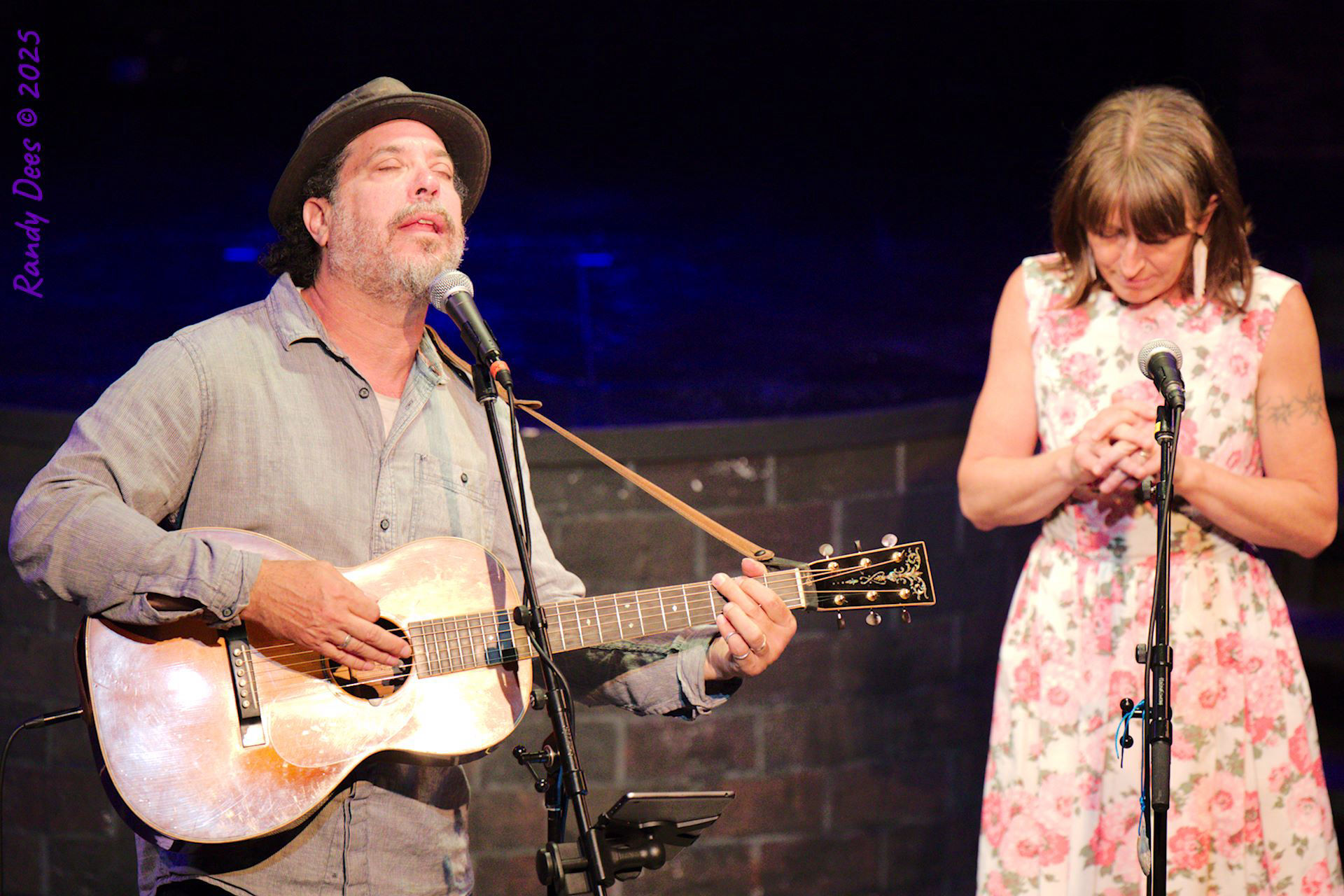 Stars Over Wimberley