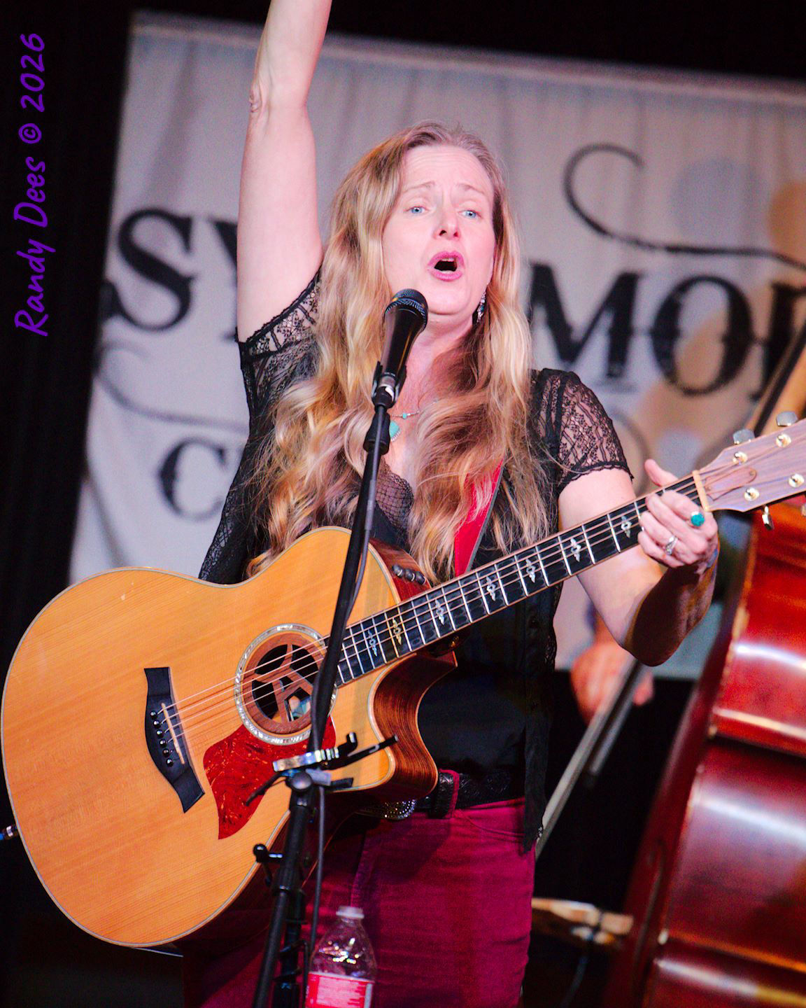 Sycamore Creek Concerts