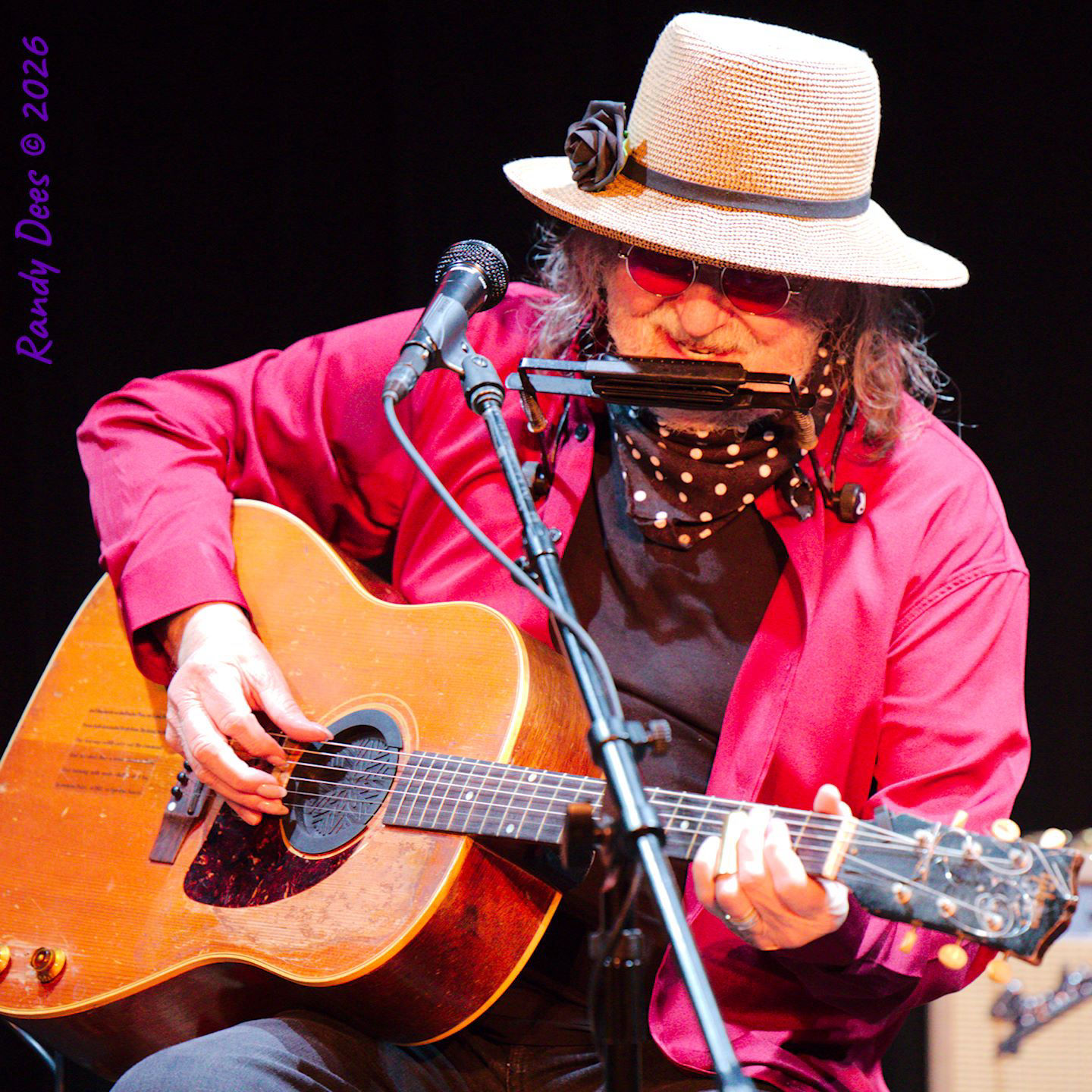 RAy Wylie Hubbard