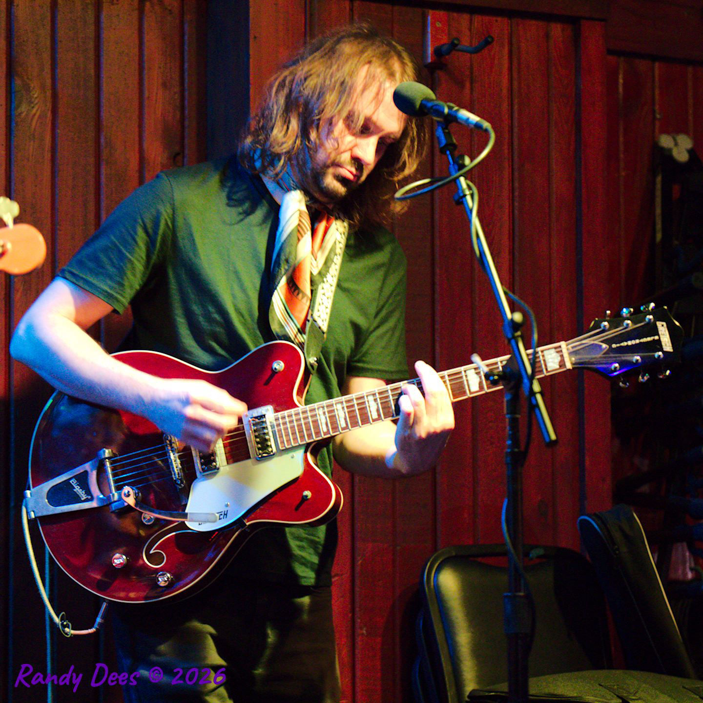 Sister Golden Hair the Band