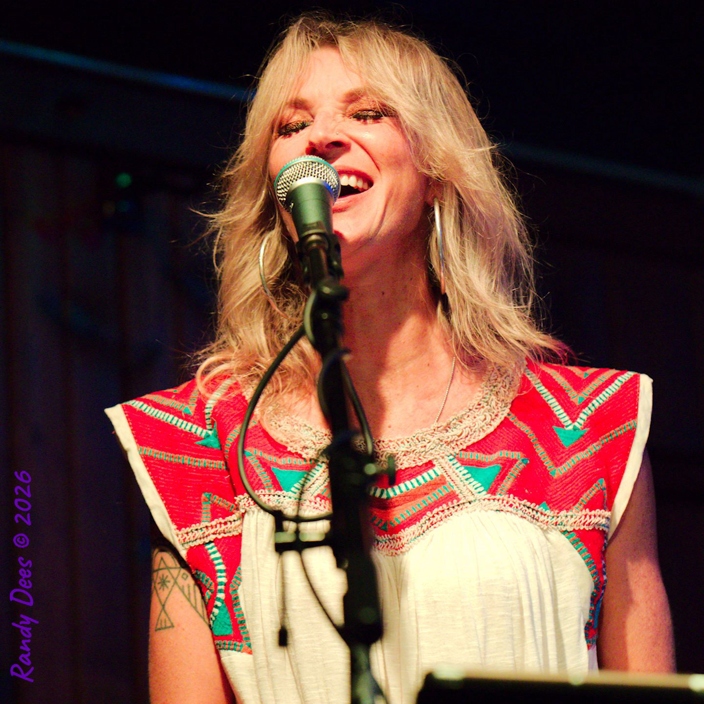 Sister Golden Hair the Band