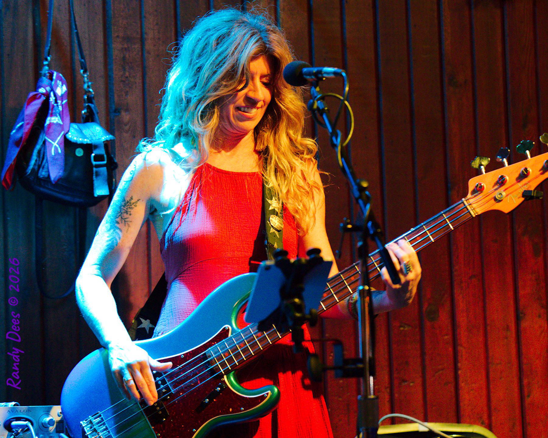 Sister Golden Hair the Band