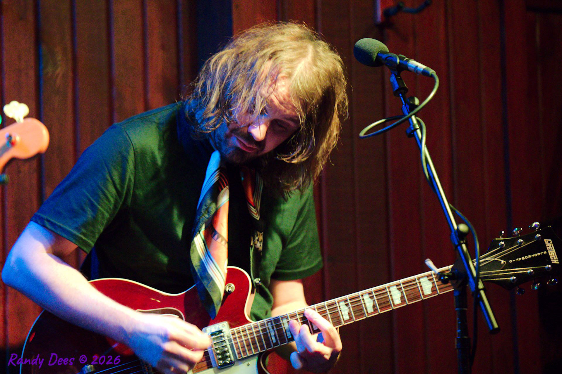 Sister Golden Hair the Band