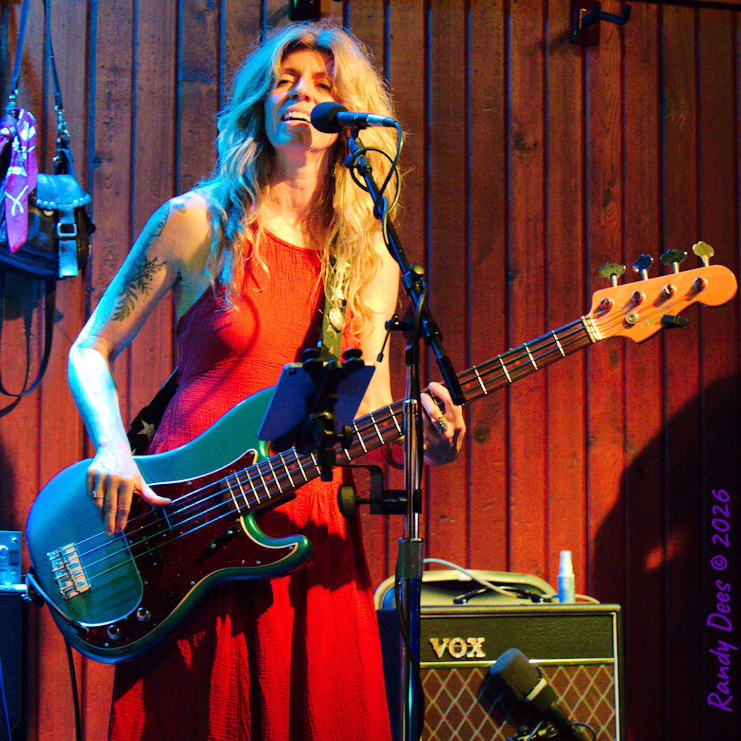Sister Golden Hair the Band