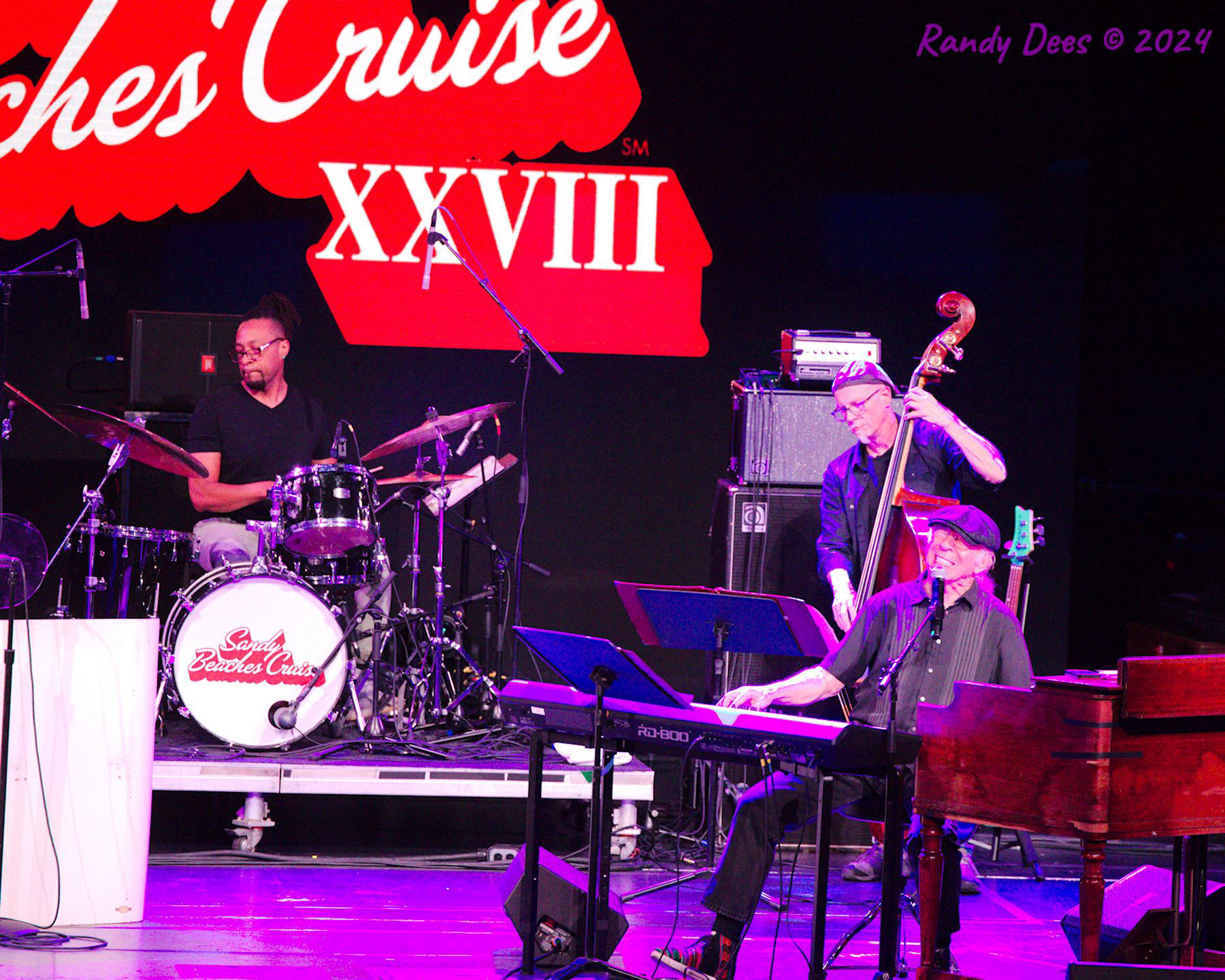 Sandy Beaches XXVIII