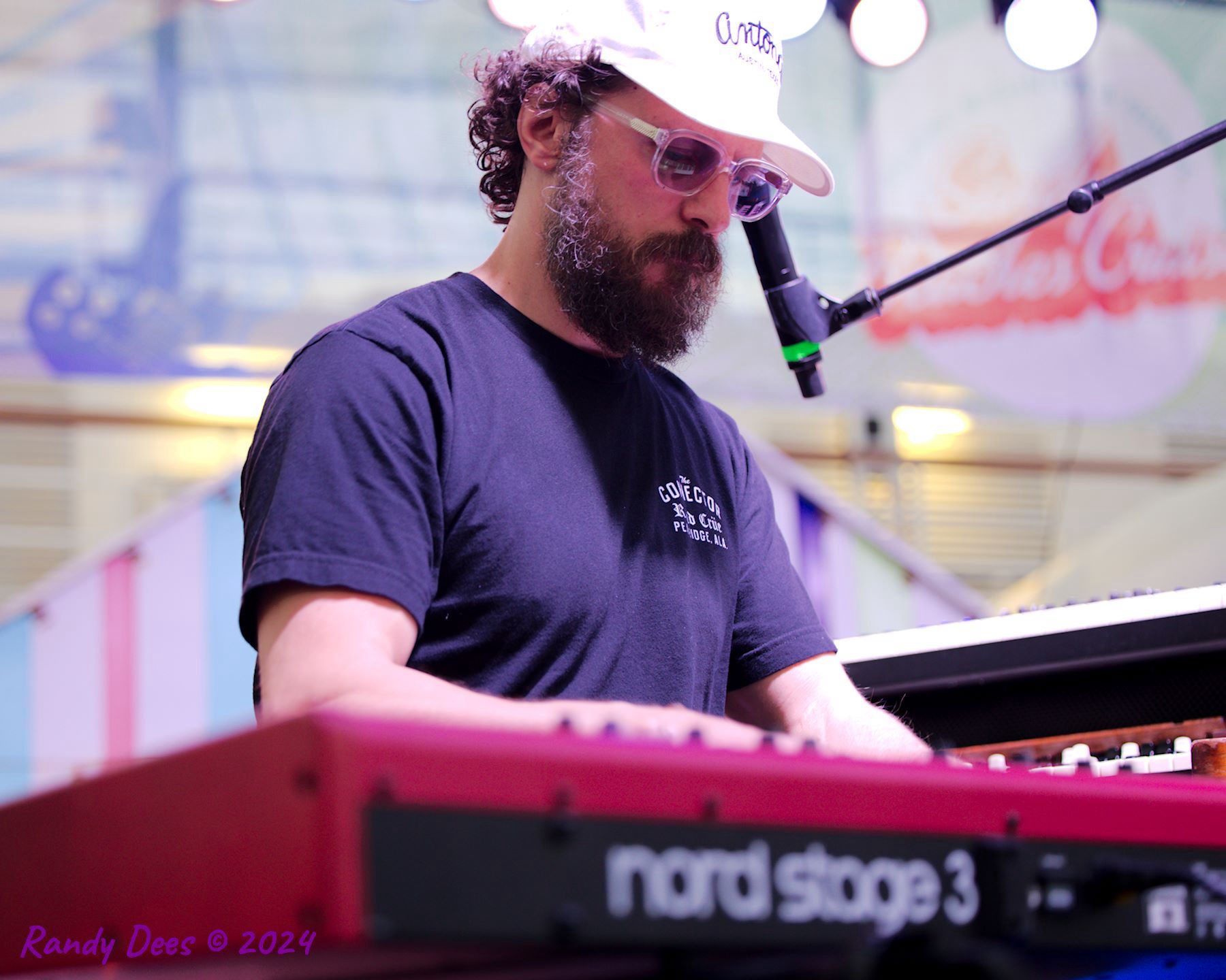 Sandy Beaches XXVIII