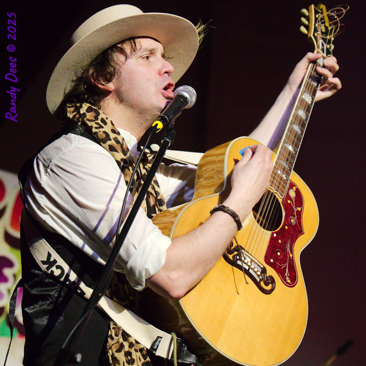 The Traveling Wilburys & Beyond