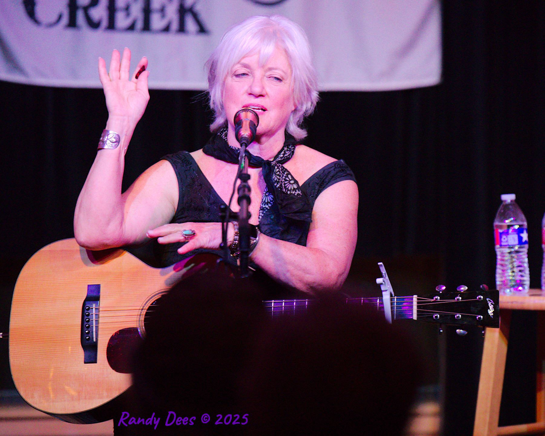 Sycamore Creek Concerts