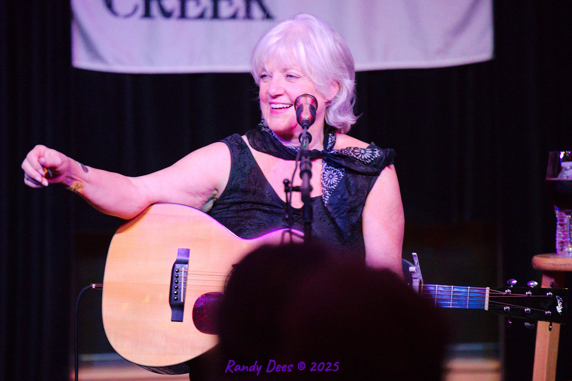 Sycamore Creek Concerts