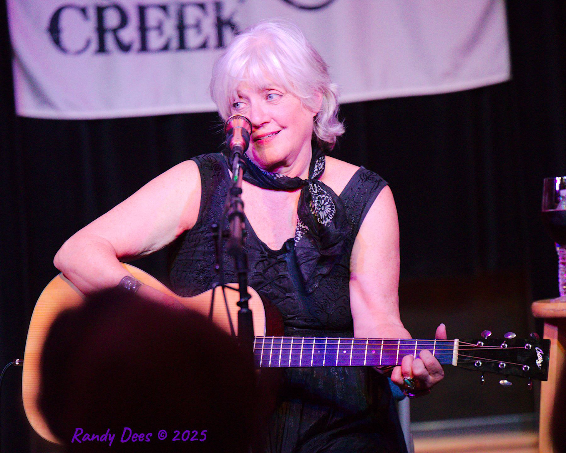 Sycamore Creek Concerts