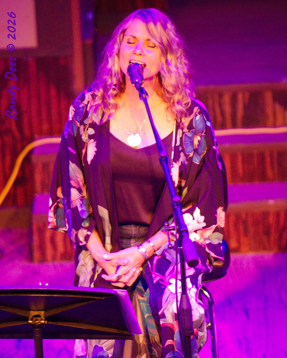 Stars Over Wimberley WinterNights