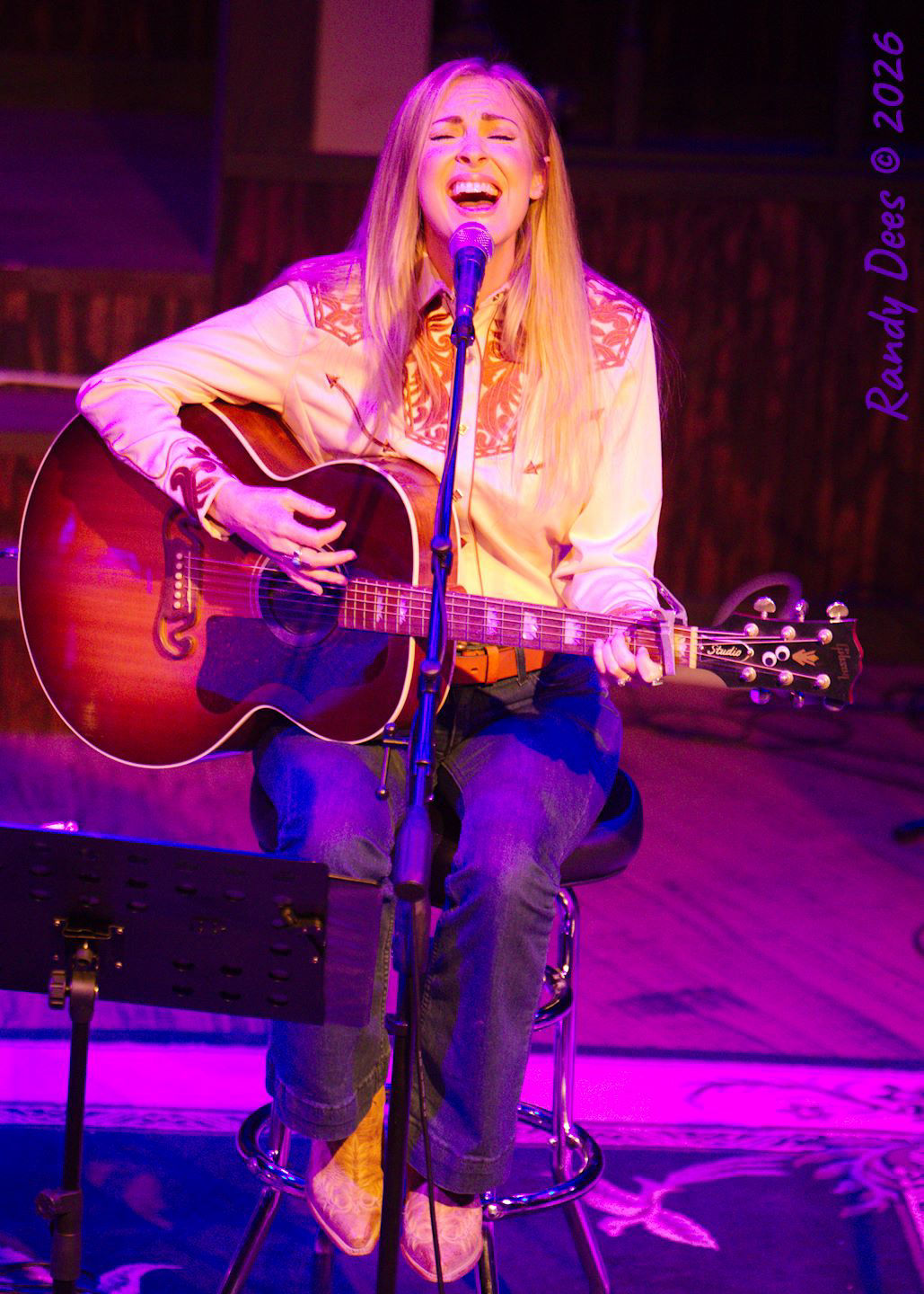 Stars Over Wimberley WinterNights