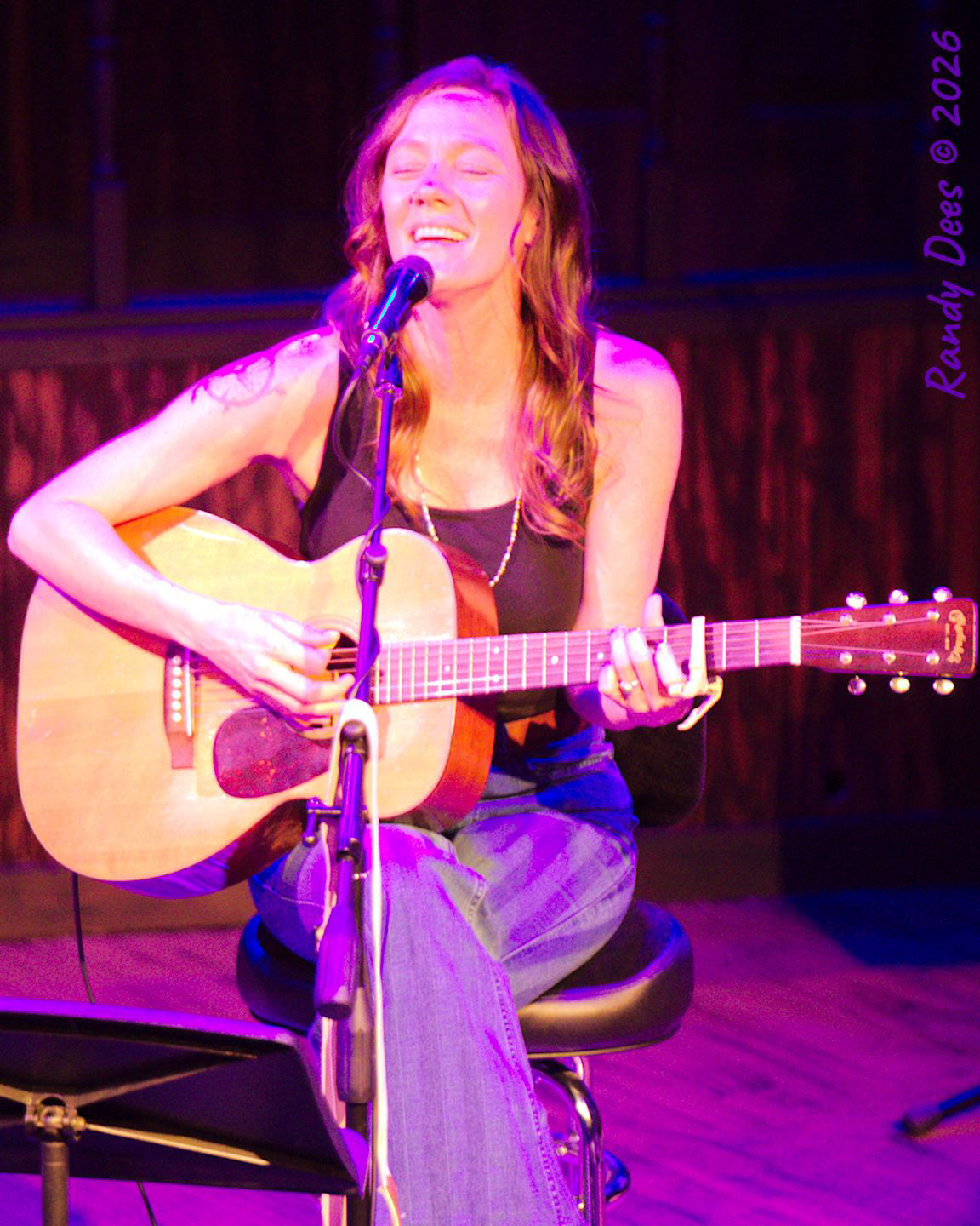 Stars Over Wimberley WinterNights