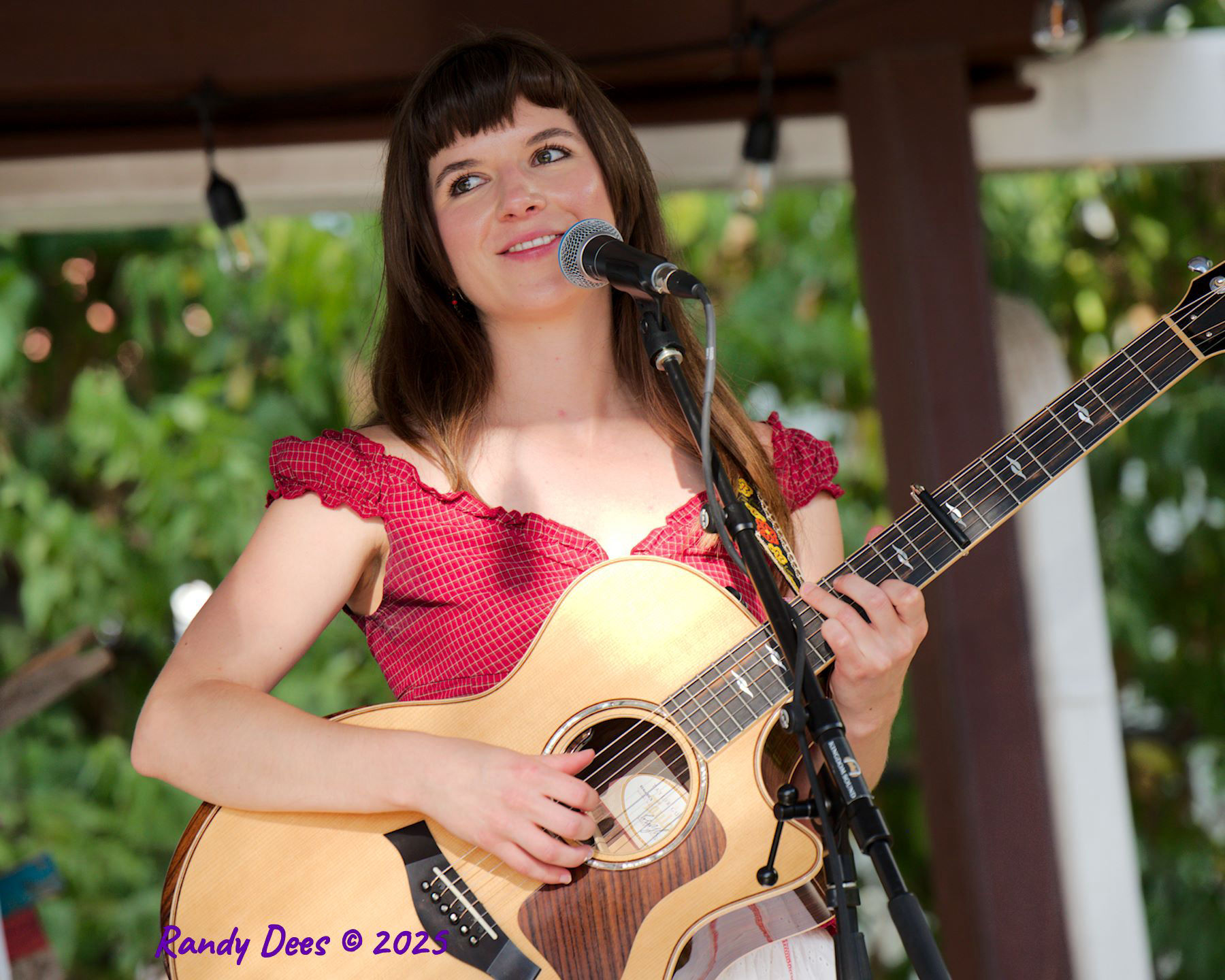 2025 Dripping Springs Songwriter Festival
