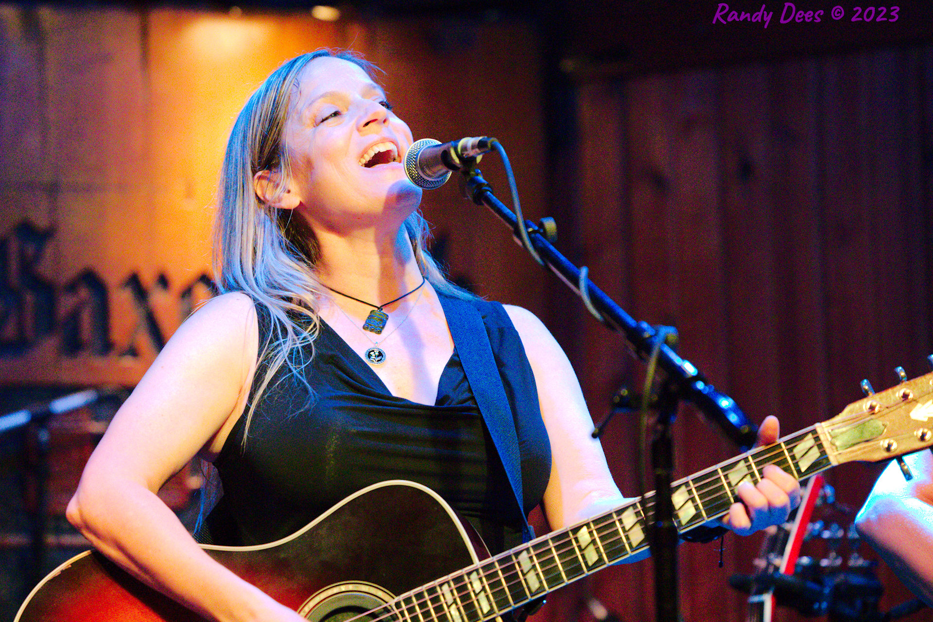 Sister Golden Hair the Band