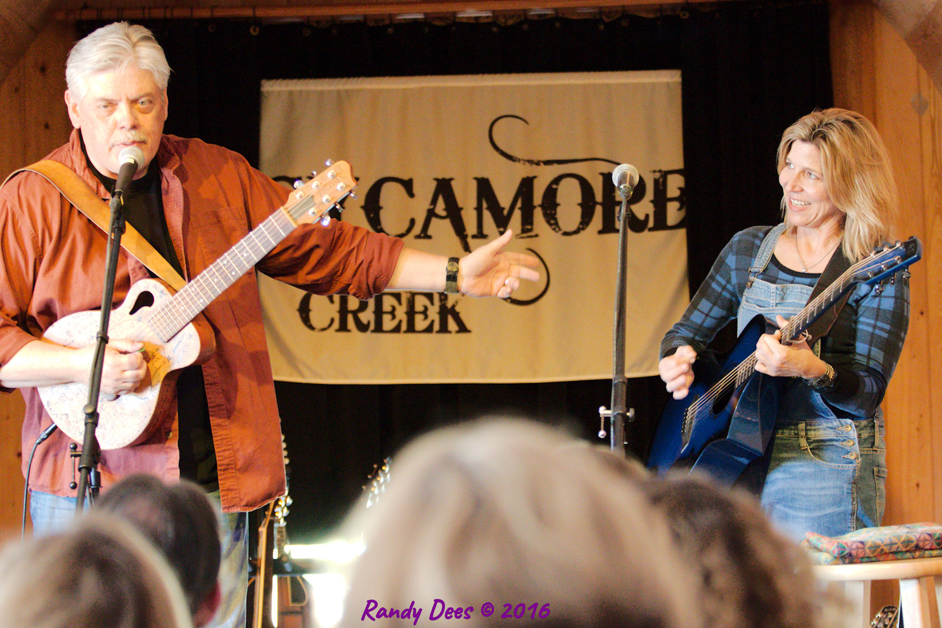 Sycamore Creek House Concerts