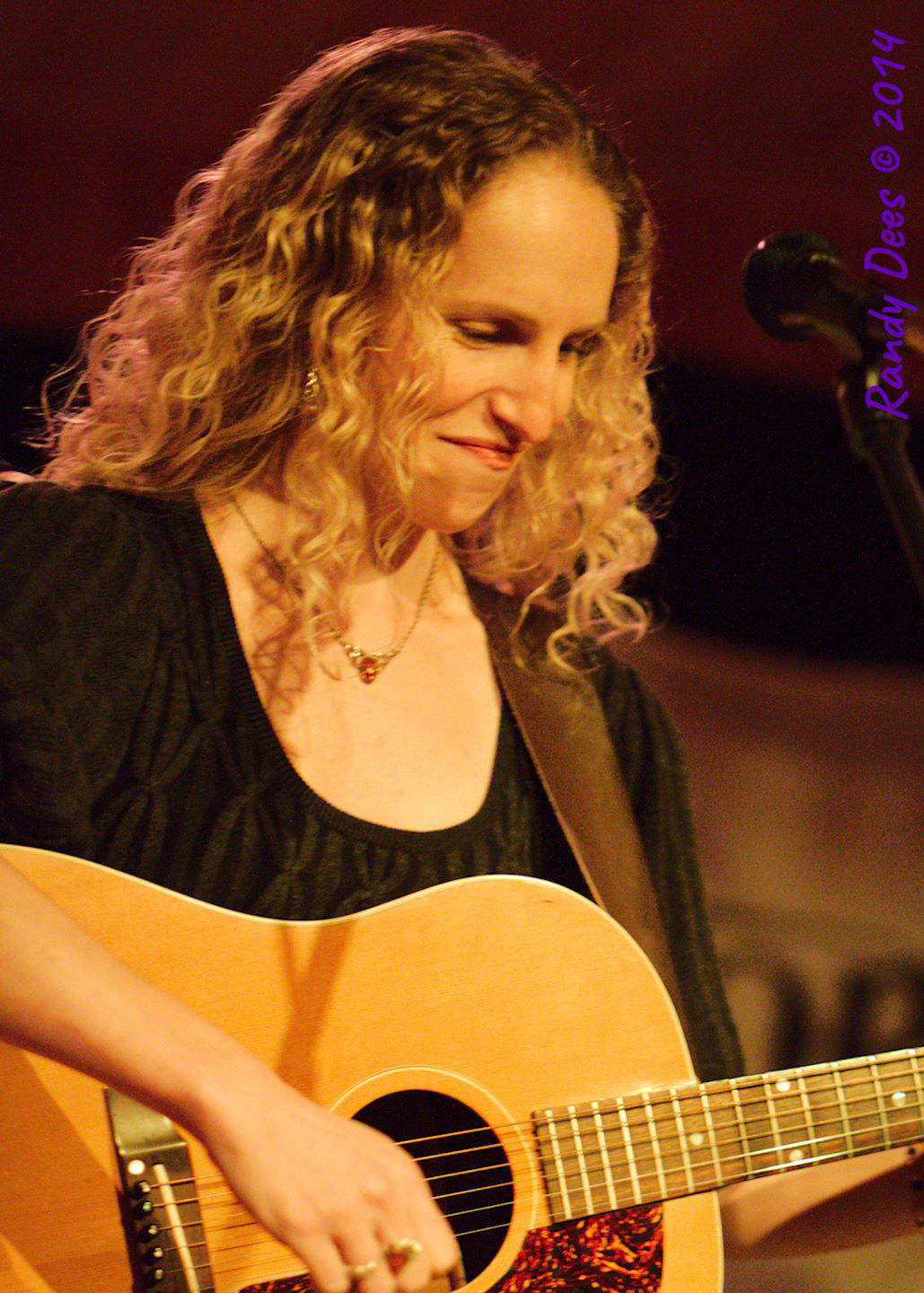 Sycamore Creek House Concerts