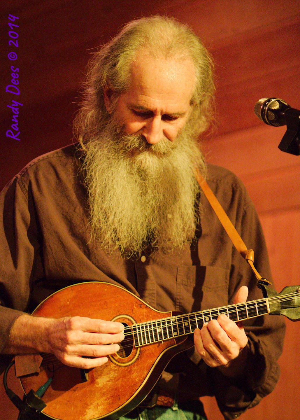 Sycamore Creek House Concerts