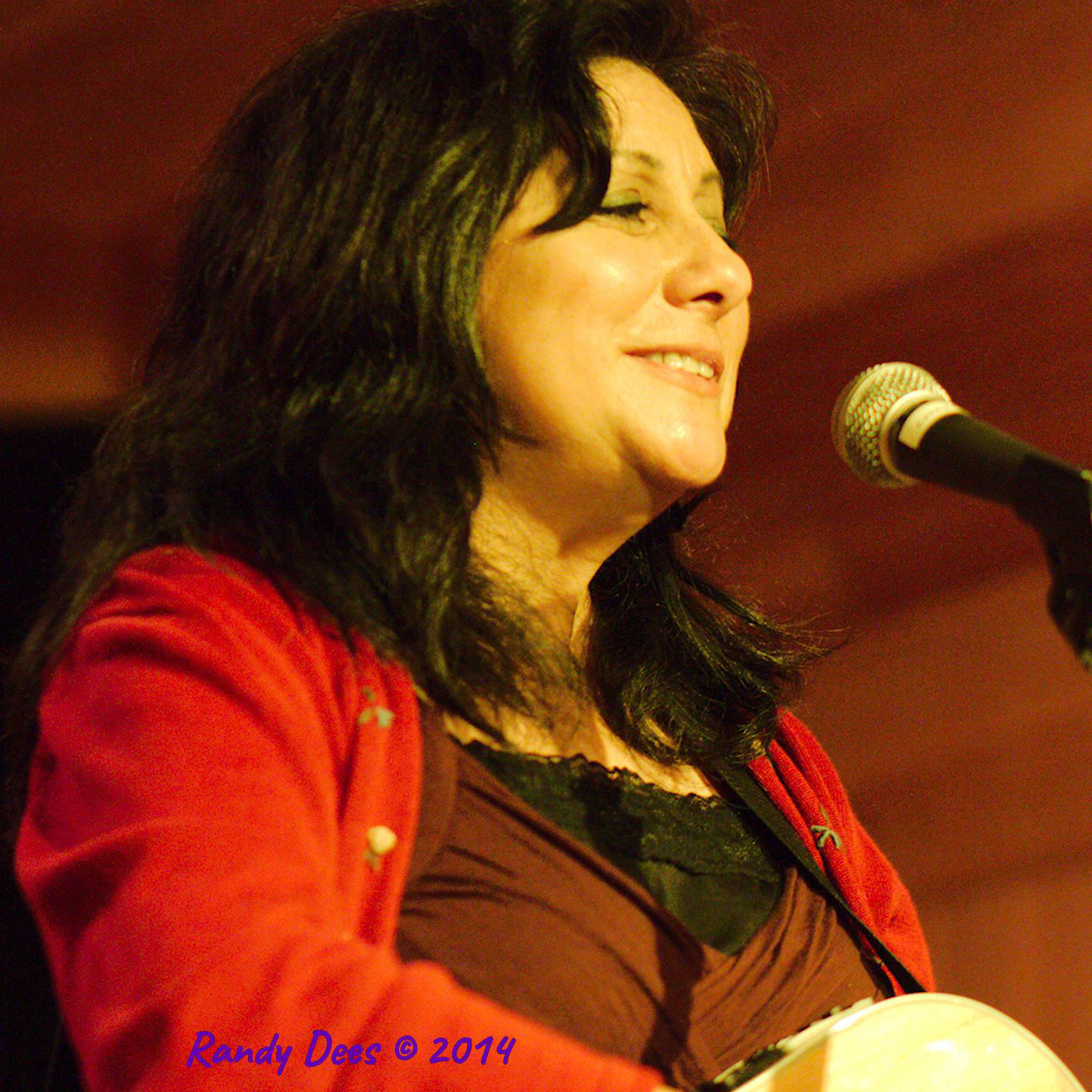 Sycamore Creek House Concerts