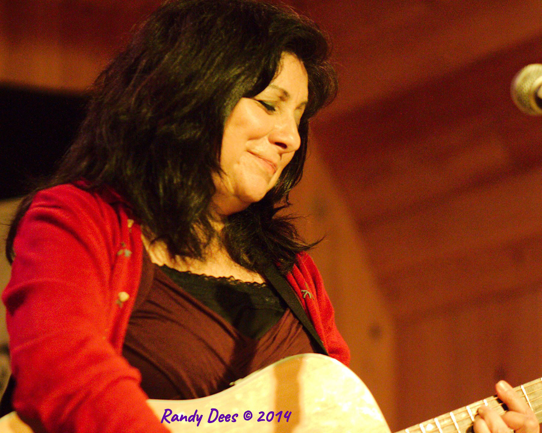 Sycamore Creek House Concerts