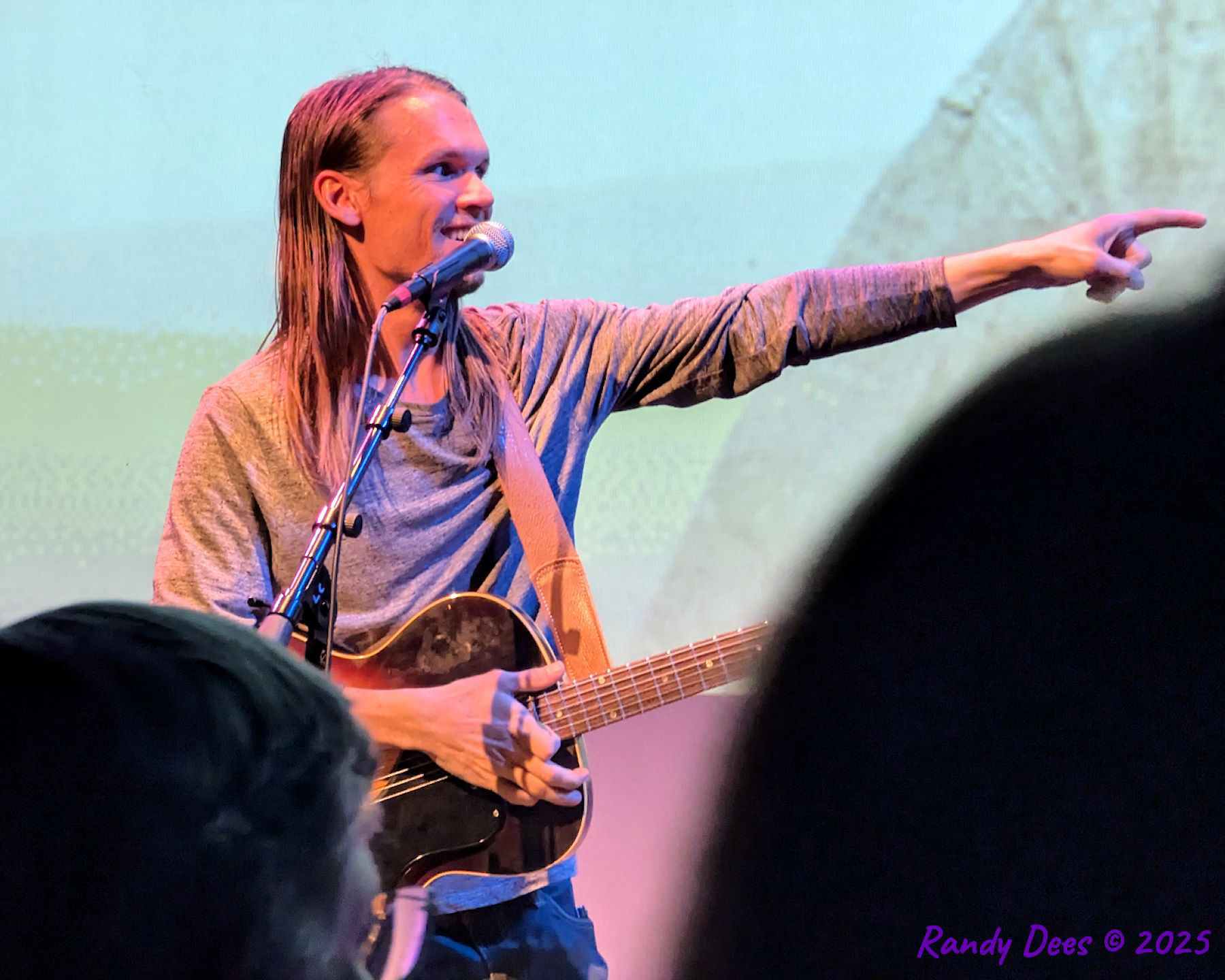 Townes Van Zandt Birthday Salute