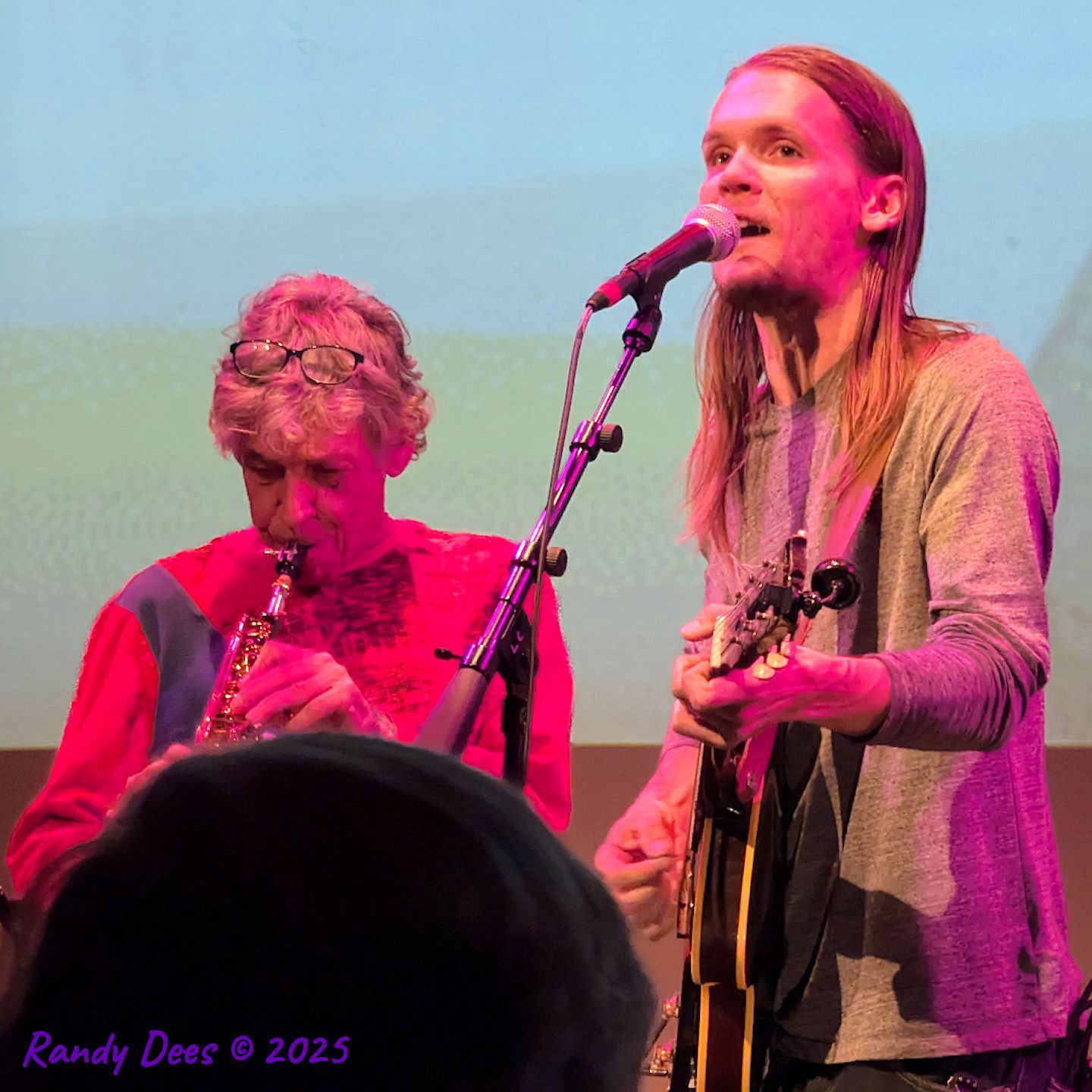 Townes Van Zandt Birthday Salute