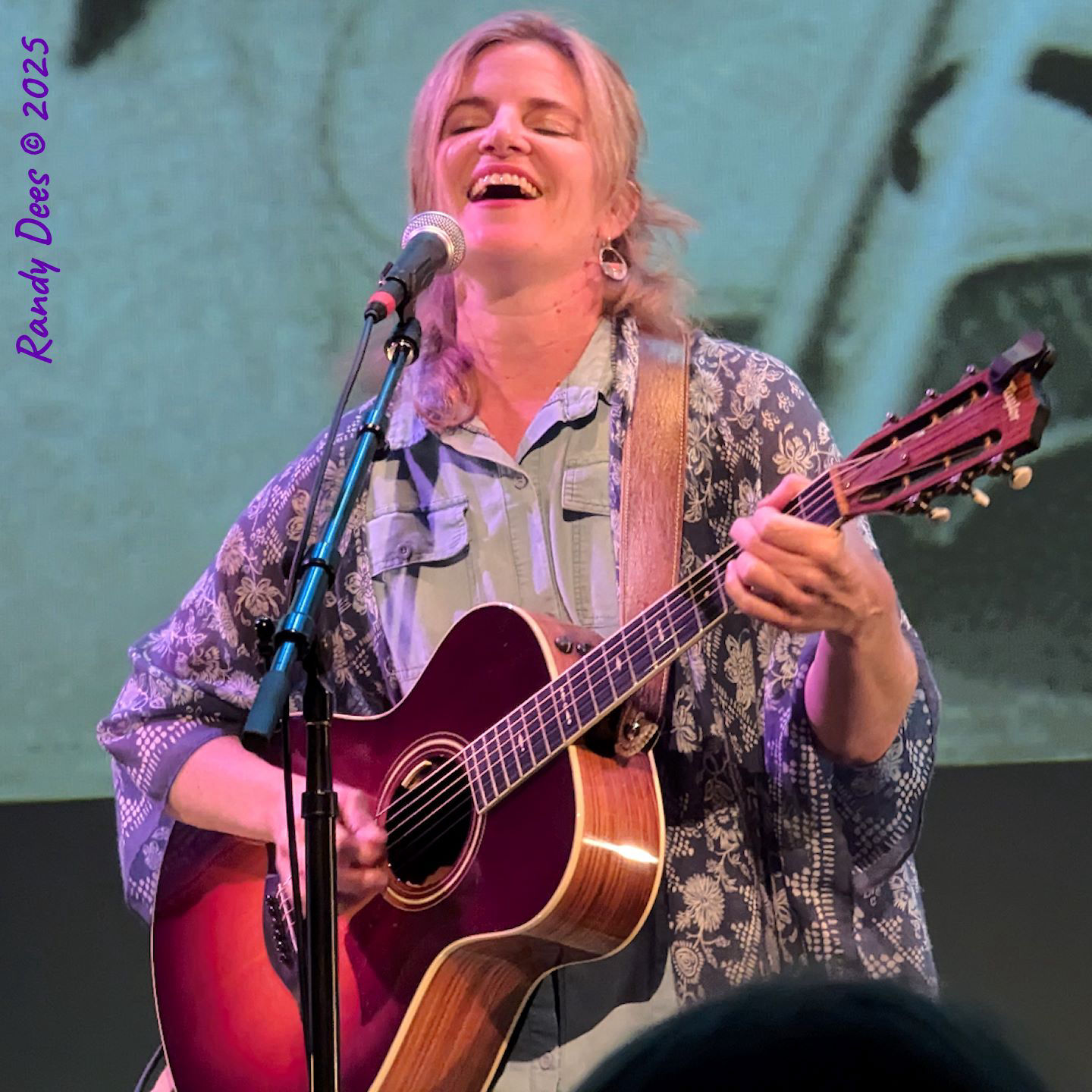 Townes Van Zandt Birthday Salute