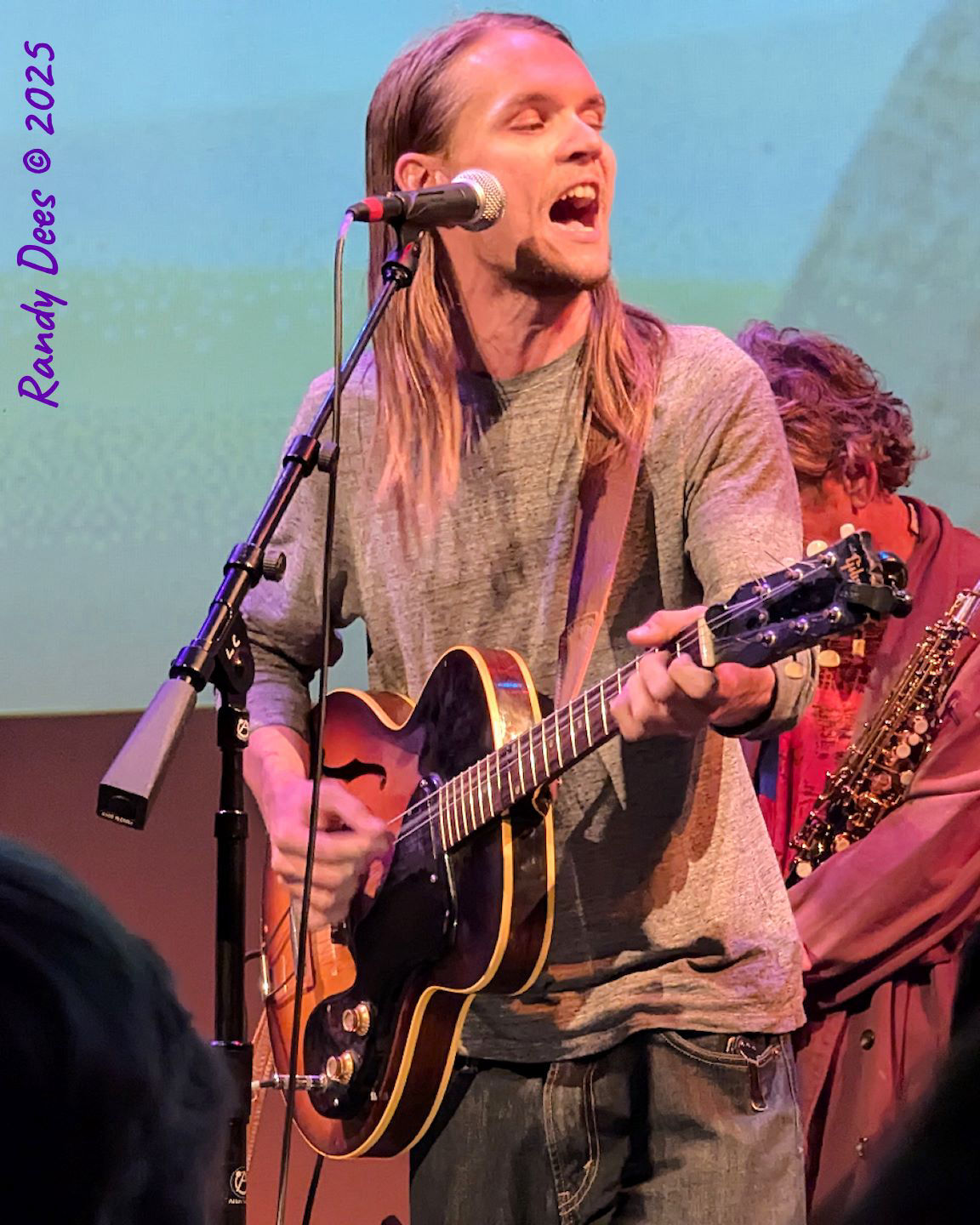 Townes Van Zandt Birthday Salute