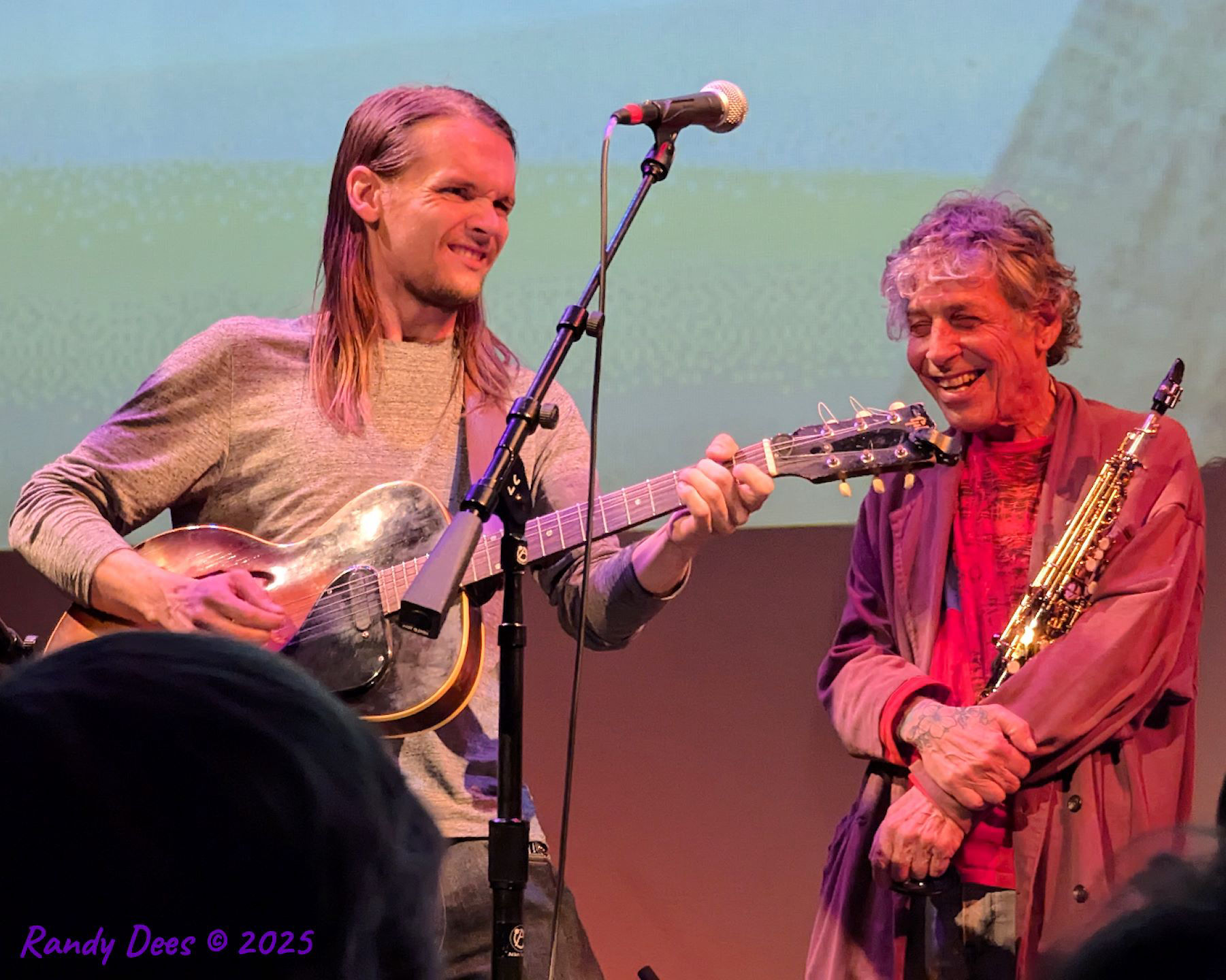 Townes Van Zandt Birthday Salute